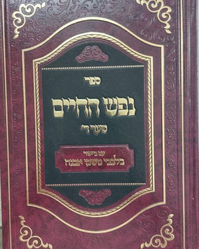 נפש החיים שער ד ביאור בלבבי משכן אבנה